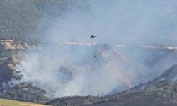 Amasya’da orman yangını: 50 dönüm orman, 150 dönüm tarım arazisi zarar gördü