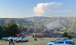 Beypazarı’nda 15 dönüm ekili alan yandı