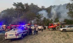 Bolu’daki orman yangını kontrol altına alındı
