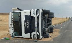 Buğday yüklü kamyon devrildi: 1 yaralı