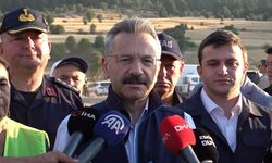 Eskişehir Valisi Aksoy: "Yangında 60 hektar alan zarar gördü"