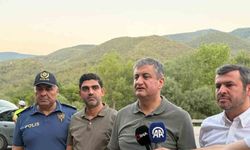 Karabük Valisi Yavuz’dan yangınla ilgili açıklama: "Rüzgar bizi sıkıntıya sokuyor"