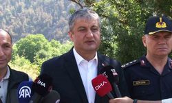Karabük’te orman yangını kontrol altına alındı