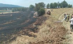 Kastamonu’da tarlalda çıkan örtü yangını söndürüldü