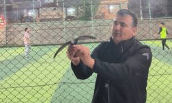 Kırşehir’de yaralı ebabil kuşu tedavi altına alındı