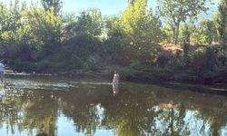 Sakarya Nehri’ne giren iki çocuk suda kayboldu