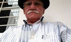 Tirebolu’da arı sokmasından can kaybı