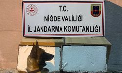 Yolcu otobüsünde 100 bin adet kaçak makaron ele geçirildi