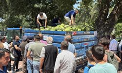 Erbaa'da Dedesinin Ruhu İçin 10 Ton Karpuz Dağıtıldı