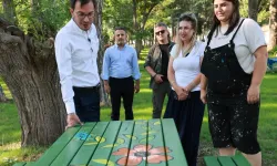 Gümenek Mesire Alanı’nda Düzenleme Çalışmaları Sürüyor