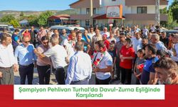 Şampiyon Pehlivan Turhal’da Davul-Zurna Eşliğinde Karşılandı
