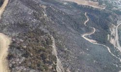 Orman yangınında zarar gören alanlar dronla görüntülendi