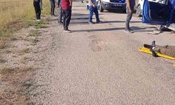 Sivas’ta iki otomobil kafa kafaya çarpıştı: 1 ölü, 1 yaralı