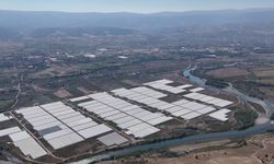 Otlaklar, İstihdamın ve Üretimin Seralarına Dönüştü