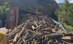 Ordu’da tomruk kamyonu devrildi: 21 ton tomruk yola saçıldı