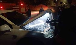 Park halindeki cipi küle dönmekten itfaiye kurtardı