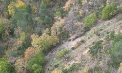 5 yaşındaki Osman’ın cansız bedeninin bulunduğu bölge havadan görüntülendi