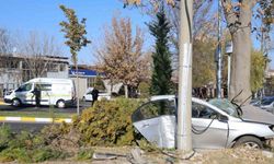 Ağaca çarpan otomobil ikiye bölündü: 2 ölü 1 yaralı