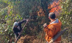 Artvin Hopa'da 5 hektarlık alanı küle çeviren yangınla mücadele sürüyor