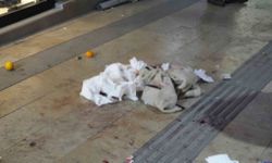 Gümüşhane'de boşanma aşamasındaki eşi tarafından bıçaklanan kadın yaralandı