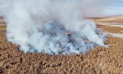 Konya'da sazlık alanda yangını
