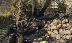 Nevşehir’de bahçe temizliği facia ile sonuçlandı