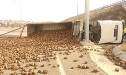 Pancar yüklü kamyon devrildi