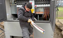 Tokatlı Öğrenciler Viyana'da Mesleki Staj Yapıyor