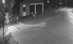 Aç kalan kurtlar mahalleye inerek eşeğe saldırdı