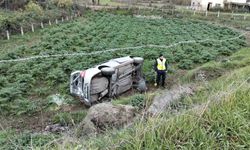Bafra'da otomobil tarlaya uçtu
