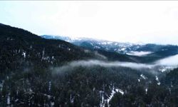 Beyaza bürünen Ilgaz Dağı havadan görüntülendi