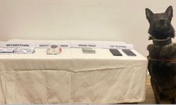 Bolu'da jandarmadan uyuşturucu operasyonu