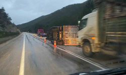 Bolu'da odun yüklü tır devrildi