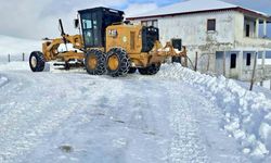 Giresun'da kar engeli: 39 köy yolu ulaşıma kapandı