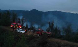 Hopa'daki orman yangını söndürüldü, soğutma çalışmaları sürüyor