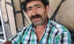 Komşusuna ağaç kesiminde yardım ederken hayatını kaybetti