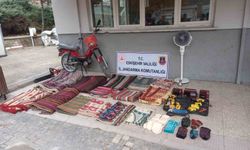 'Mezarcıyız' deyip 20 evi soyan 2 şüpheli yakalandı