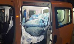 Samsun'da 300 kilo kaçak midye ele geçirildi