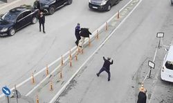 Samsun'da iki yaşlı adamın kavgasını araya girenler önledi