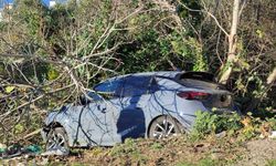 Sinop'ta kontrolden çıkan otomobil ağaçlık alana devrildi