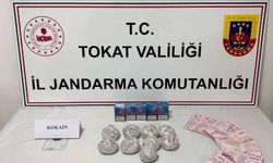 Tokat'ta Zehir Tacirlerine Operasyon