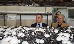 TOGÜ Rektörü Mantar Üretim Tesisinde İncelemelerde Bulundu
