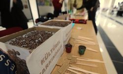 TOGÜ’de Söz Varlıkları ve Kültürlerarası Yolculuk Sergisi Açıldı