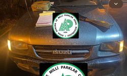 Bartın'da kaçak avcılar dron kameralarına yakalandı