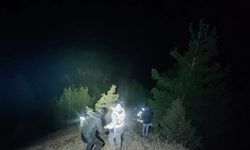 Çorum'da kaybolan yaşlı adam ormanda bulundu