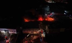 Düzce'deki fabrika yangını havadan görüntülendi