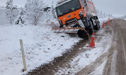 Eskişehir'de kar küreme aracı yoldan çıktı