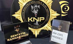 Karabük'te uyuşturucu operasyonu: 1 tutuklama