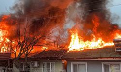 Kediler üşümesin diye yakılan soba faciaya dönüştü: İki ev küle döndü