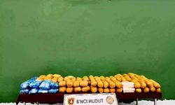 MSB, Van'da yürütülen operasyonlarda 50 kilogram 930 gram uyuşturucu madde ele geçirildiğini duyurdu